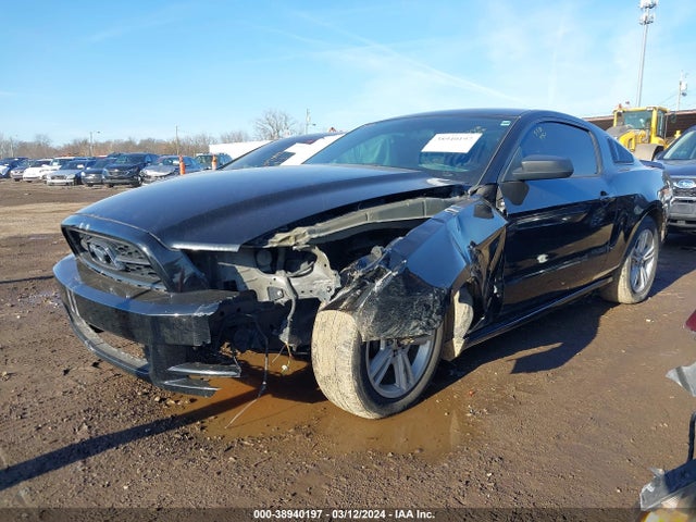 Ford Mustang V6 2014 1ZVBP8AM8E5283677 Image 2