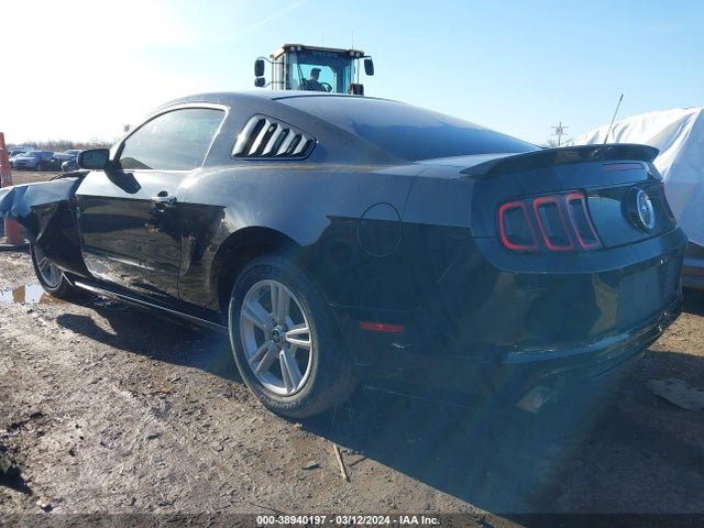 Ford Mustang V6 2014 1ZVBP8AM8E5283677 Image 3