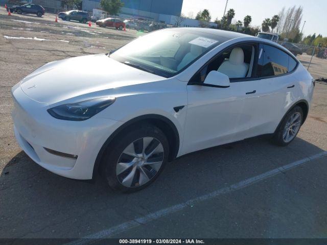 7SAYGDEDXPF977162 Tesla Model Y Rwd