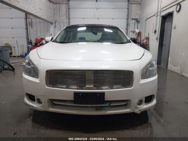 1N4AA5AP1EC441934 Nissan Maxima 3.5 Sv