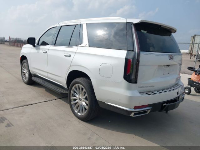 2023 CADILLAC ESCALADE 1GYS4BKL3PR130337 Photo 2