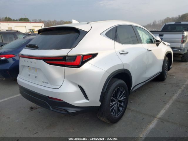2T2GDCAZ3RC011381 Lexus Nx 250 Premium