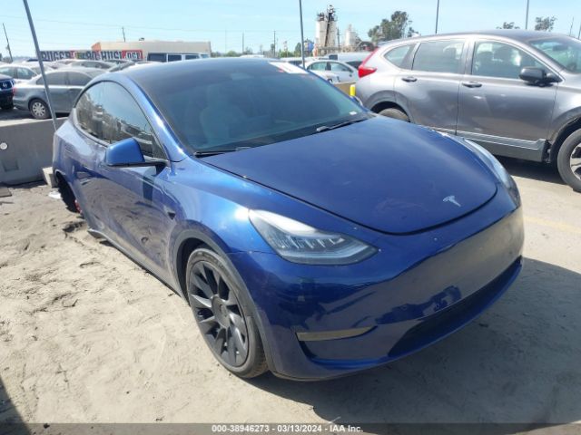 2021 TESLA MODEL Y 5YJYGDEE1MF078093