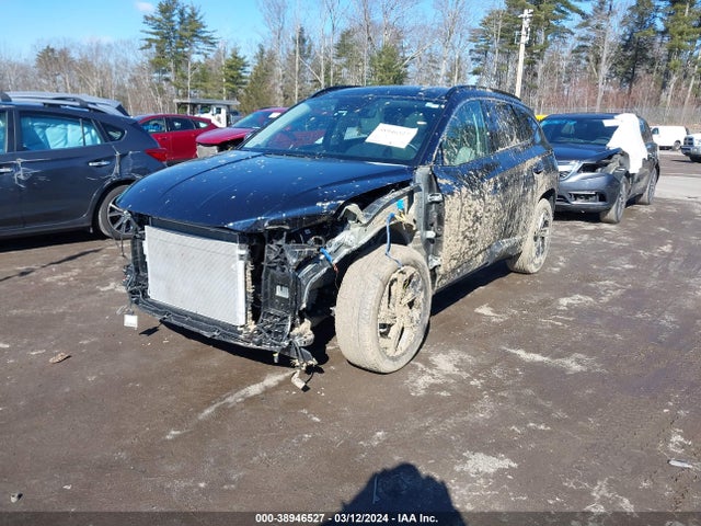Hyundai Tucson Limited 2023 KM8JECAE4PU212173 Image 2