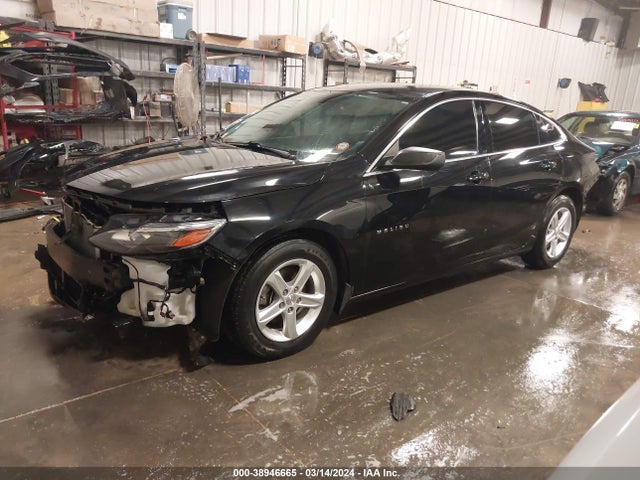 Chevrolet Malibu 1ls 2019 1G1ZB5ST2KF186218 Image 2
