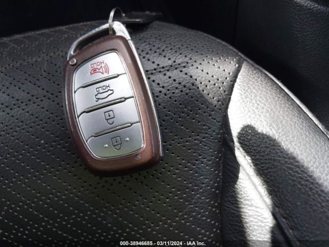 KMHD84LF6HU318190 Hyundai Elantra Limited