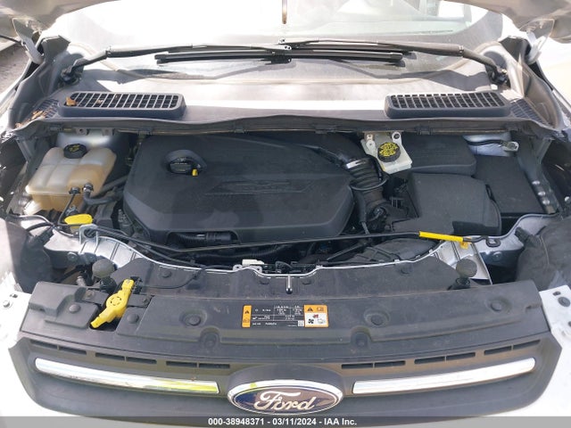 Ford ESCAPE SE 2014 1FMCU0GX7EUD86335 Image 10