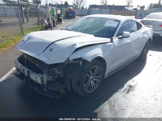 Ford Mustang Ecoboost 2017 1FA6P8TH2H5310192 Image 2