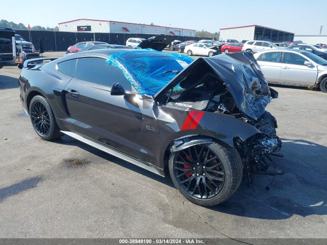 Ford Mustang Ecoboost Fastback 2022 1FA6P8TH9N5108882 Image 1