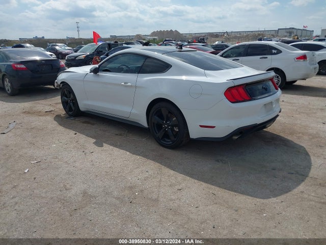 Ford Mustang Ecoboost Fastback 2022 1FA6P8TH9N5122751 Image 3