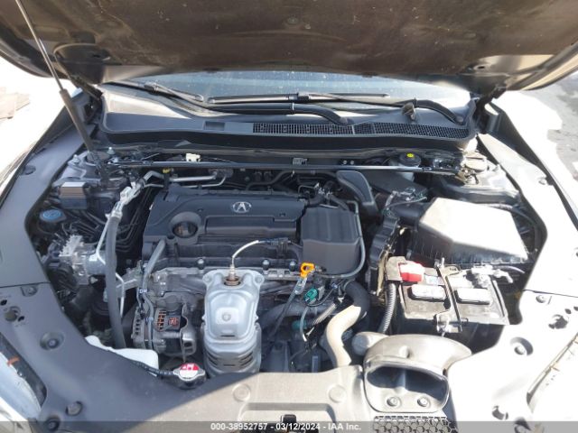 19UUB1F37GA014566 Acura TLX