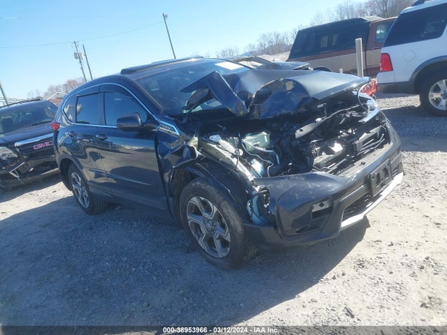 2019 5J6RW2H52KA010134 main image