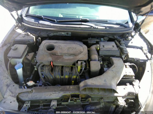5NPE34AF6JH707616 Hyundai Sonata Sport+