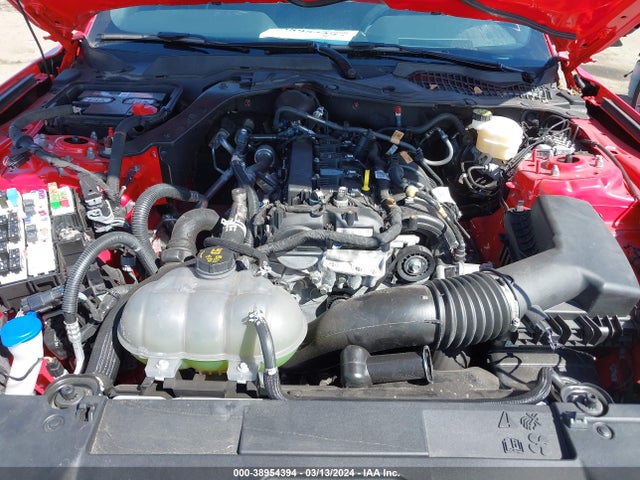 Ford Mustang Ecoboost Fastback 2022 1FA6P8TH4N5141823 Image 10