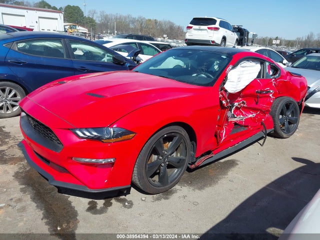 Ford Mustang Ecoboost Fastback 2022 1FA6P8TH4N5141823 Image 2
