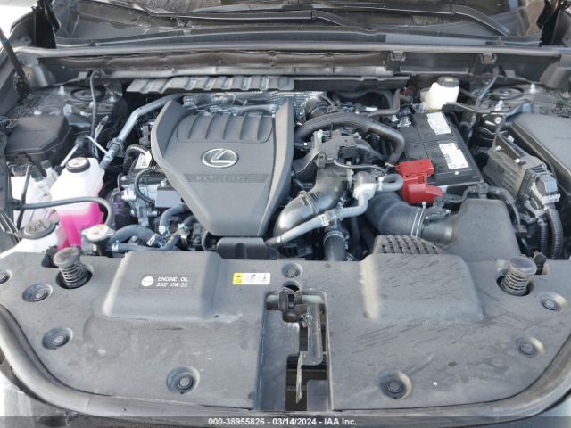 2T2GGCEZ3RC043927 Lexus Nx 350 Premium