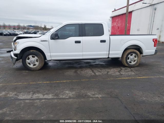 1FTEW1CF1HKC83891 Ford F-150 Xlt
