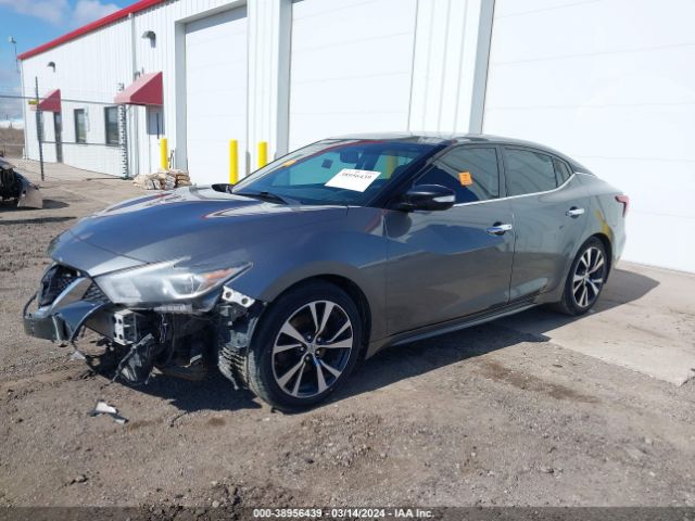 1N4AA6AP0HC436170 Nissan Maxima 3.5 Platinum/3.5 S/3.5 Sl/3.5 Sr/3.5 Sv