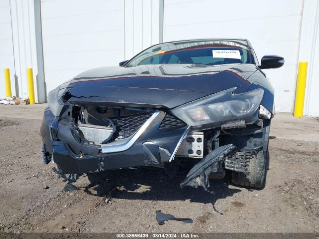 1N4AA6AP0HC436170 Nissan Maxima 3.5 Platinum/3.5 S/3.5 Sl/3.5 Sr/3.5 Sv