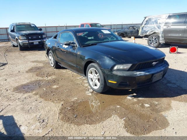 Auction sale of the 2010 Ford Mustang V6/v6 Premium, vin: 1ZVBP8ANXA5165603, lot number: 38956747