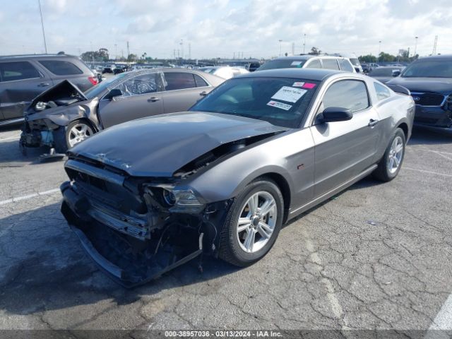 1ZVBP8AM4E5241264 Ford Mustang V6