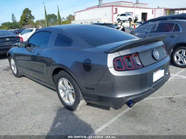 1ZVBP8AM4E5241264 Ford Mustang V6