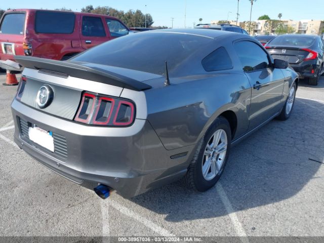1ZVBP8AM4E5241264 Ford Mustang V6