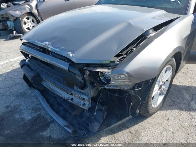 1ZVBP8AM4E5241264 Ford Mustang V6