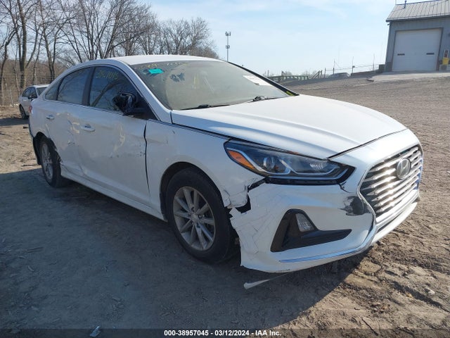 2019 5NPE24AF3KH759113 main image
