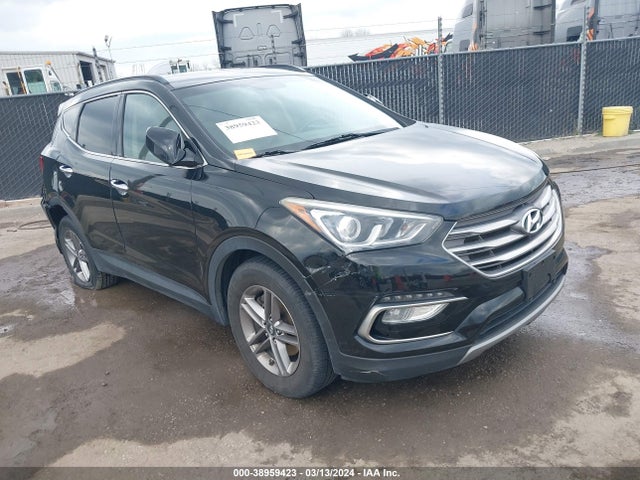 2017 5NMZUDLB6HH002198 main image