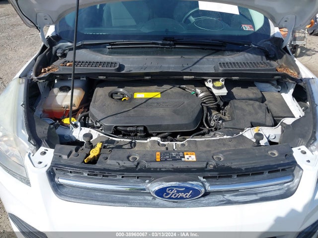Ford ESCAPE SE 2016 1FMCU0GX6GUA40408 Image 10