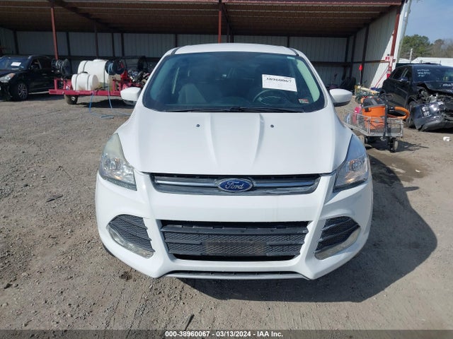 Ford ESCAPE SE 2016 1FMCU0GX6GUA40408 Image 12