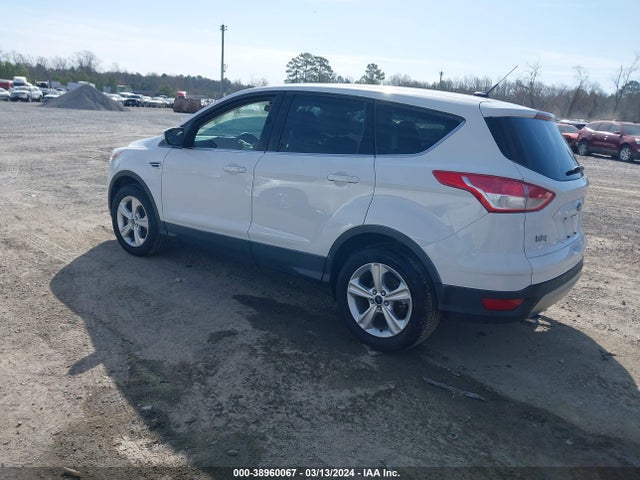 Ford ESCAPE SE 2016 1FMCU0GX6GUA40408 Image 3