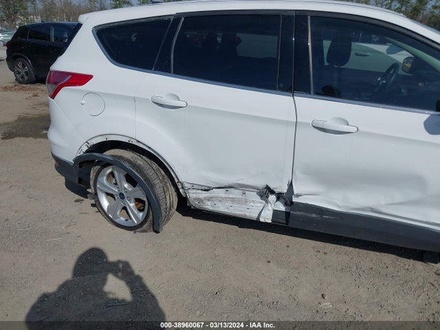 Ford ESCAPE SE 2016 1FMCU0GX6GUA40408 Image 6