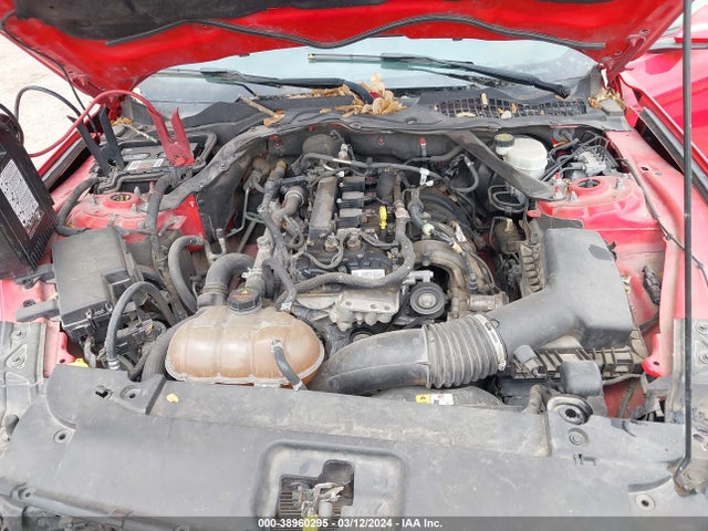 Ford Mustang Ecoboost 2016 1FA6P8TH9G5290165 Image 10