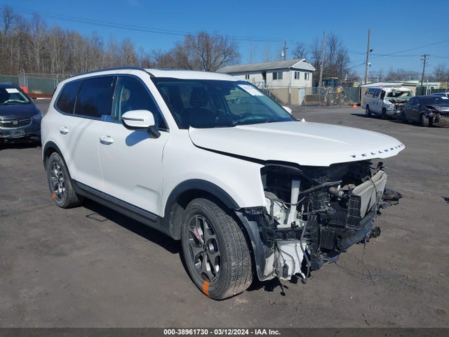 KIA Telluride Ex 2020 5XYP3DHC0LG012692 Image 1