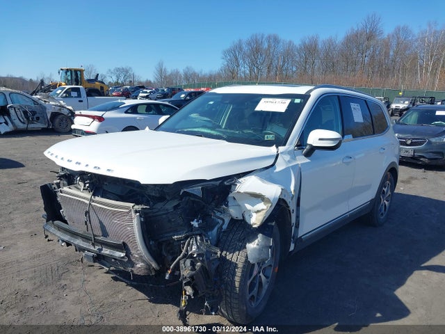 KIA Telluride Ex 2020 5XYP3DHC0LG012692 Image 2