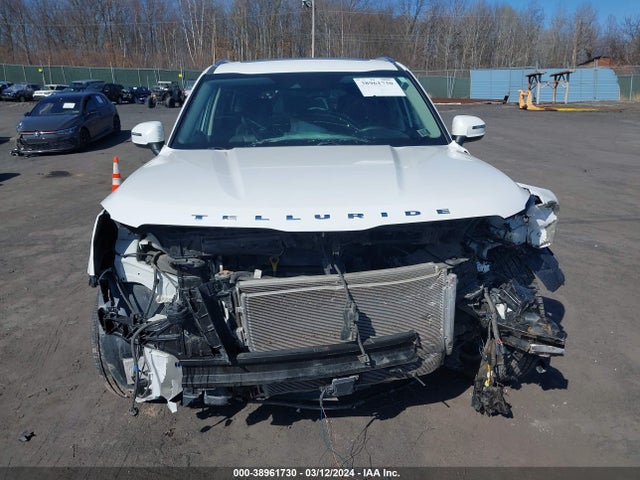 KIA Telluride Ex 2020 5XYP3DHC0LG012692 Image 6