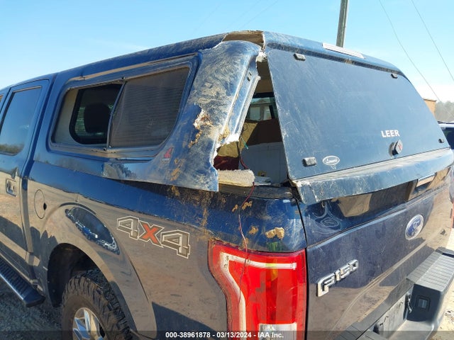 Ford F-150 Xlt 2015 1FTEW1EP3FFB37407 Image 12