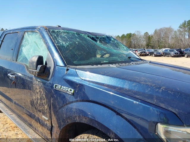 Ford F-150 Xlt 2015 1FTEW1EP3FFB37407 Image 14
