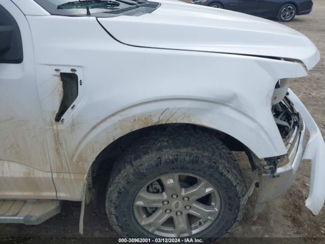 1FTFW1E54MKD66685 Ford F-150 Xlt