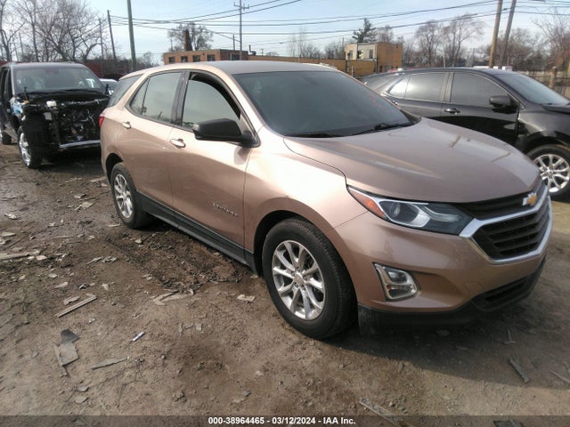 Chevrolet EQUINOX LS 2019 2GNAXHEV8K6303516 Image 1