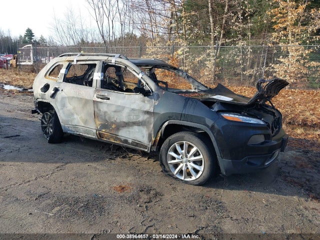 Jeep Cherokee Limited 2014 1C4PJMDS8EW294251 Image 1