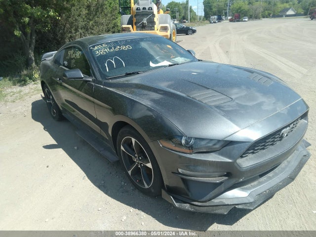 Ford Mustang Ecoboost 2019 1FA6P8TH0K5192716 Image 1