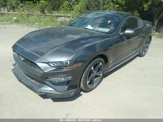 Ford Mustang Ecoboost 2019 1FA6P8TH0K5192716 Image 2
