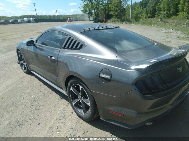 Ford Mustang Ecoboost 2019 1FA6P8TH0K5192716 Image 3