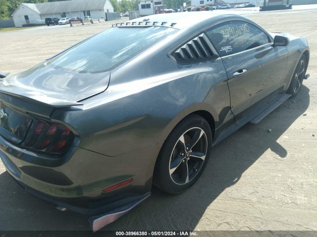 Ford Mustang Ecoboost 2019 1FA6P8TH0K5192716 Image 4