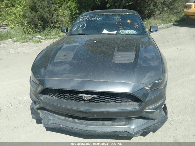 Ford Mustang Ecoboost 2019 1FA6P8TH0K5192716 Image 6