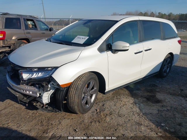 Honda ODYSSEY EX 2021 5FNRL6H5XMB031491 Image 2