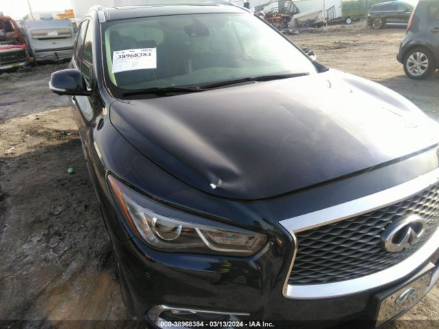 5N1DL0MM0KC504535 Infiniti QX60 LUXE